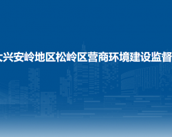 大兴安岭地区松岭区营商环境建设监督局