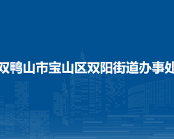 双鸭山市宝山区双阳街道办事处