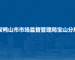 双鸭山市市场监督管理局宝山分局