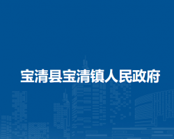 宝清县宝清镇人民政府