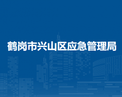 鹤岗市兴山区应急管理局默认相册