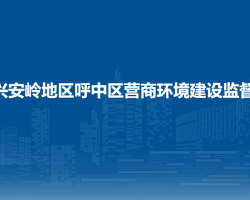 大兴安岭地区呼中区营商环境建设监督局