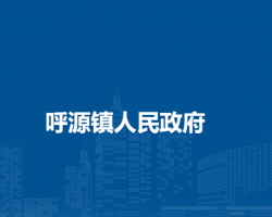 大兴安岭地区呼中区呼源镇人民政府