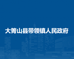 大箐山县带领镇人民政府