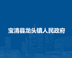 宝清县龙头镇人民政府