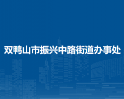 双鸭山市四方台区振兴中路街道办事处