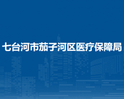 七台河市茄子河区医疗保障局