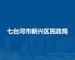 七台河市新兴区民政局