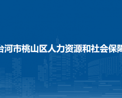 七台河市桃山区人力资源和社会保障局