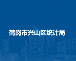 鹤岗市兴山区统计局默认相册