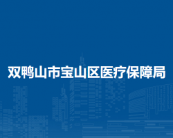 双鸭山市宝山区医疗保障局