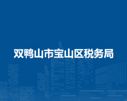 双鸭山市宝山区税务局"