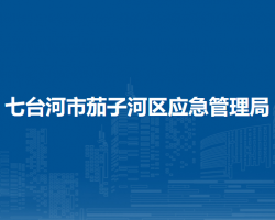 七台河市茄子河区应急管理局