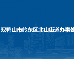 双鸭山市岭东区北山街道办事处