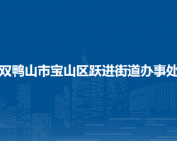 双鸭山市宝山区跃进街道办事处