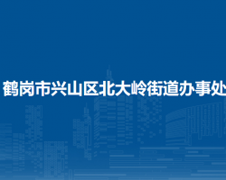 鹤岗市兴山区北大岭街道办事处