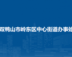 双鸭山市岭东区中心街道办事处