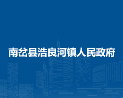 南岔县浩良河镇人民政府