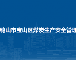 双鸭山市宝山区煤炭生产安全管理局