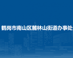 鹤岗市南山区麓林山街道办事处默认相册