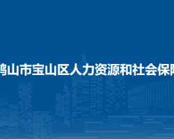 双鸭山市宝山区人力资源和社会保障局