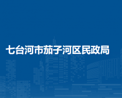 七台河市茄子河区民政局