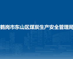 鹤岗市东山区煤炭生产安全管理局