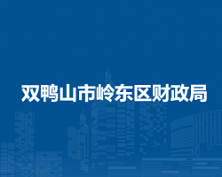 双鸭山市岭东区财政局