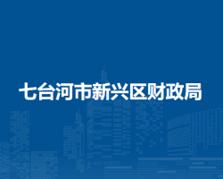 七台河市新兴区财政局