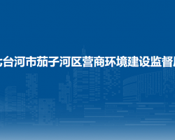 七台河市茄子河区营商环境建设监督局