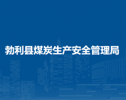 勃利县煤炭生产安全管理局