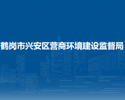 鹤岗市兴安区营商环境建设监督局