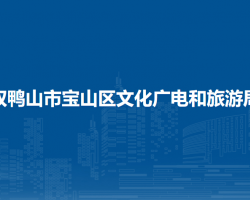 双鸭山市宝山区文化广电和旅游局