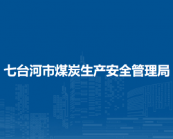 七台河市煤炭生产安全管理局