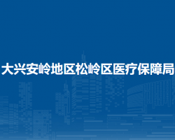 大兴安岭地区松岭区医疗保障局