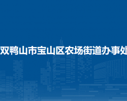 双鸭山市宝山区农场街道办事处