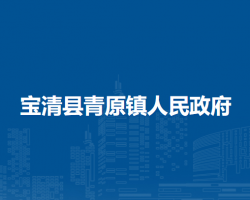 宝清县青原镇人民政府