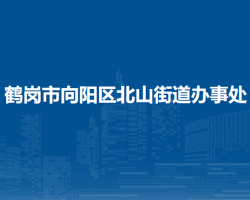 鹤岗市向阳区北山街道办事处