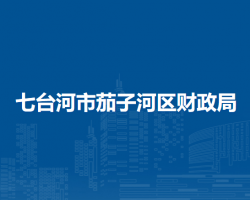 七台河市茄子河区财政局