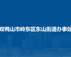 双鸭山市岭东区东山街道办事处