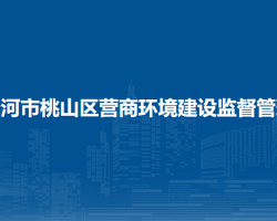 七台河市桃山区营商环境建设监督管理局