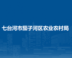 七台河市茄子河区农业农村局