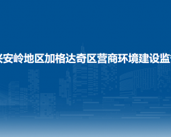 大兴安岭地区加格达奇区营商环境建设监督局