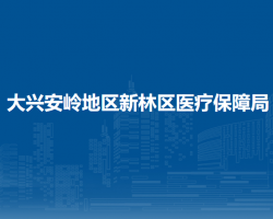 大兴安岭地区新林区医疗保障局