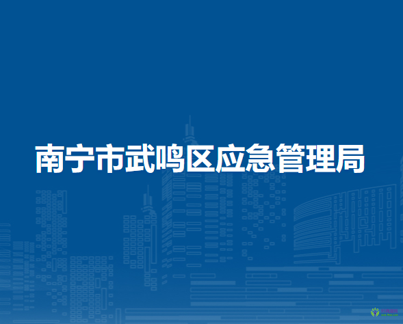 南宁市武鸣区应急管理局