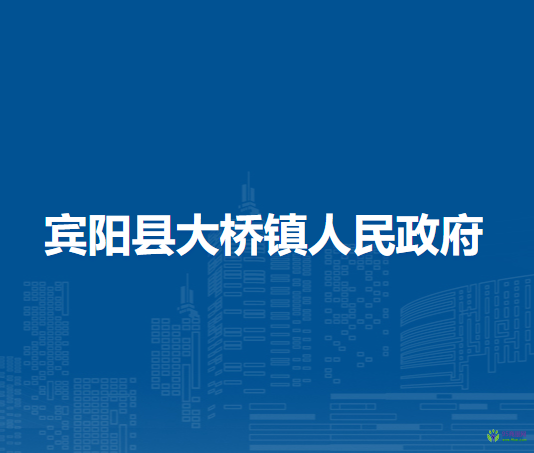 宾阳县大桥镇人民政府