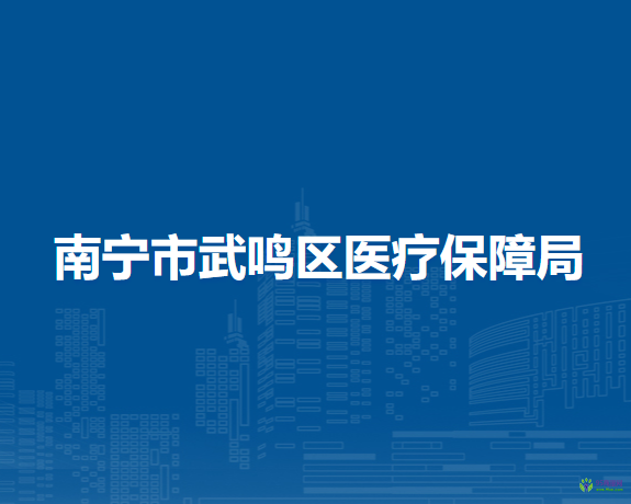 南宁市武鸣区医疗保障局