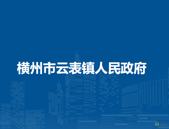 横州市云表镇人民政府