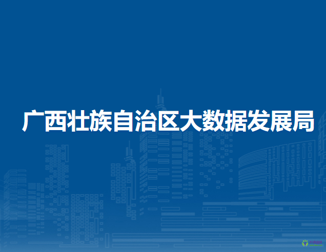 广西壮族自治区大数据发展局