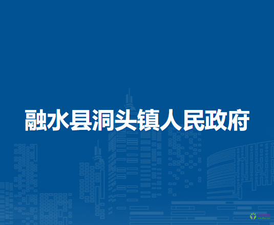 融水县洞头镇人民政府